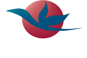 Brown Travel